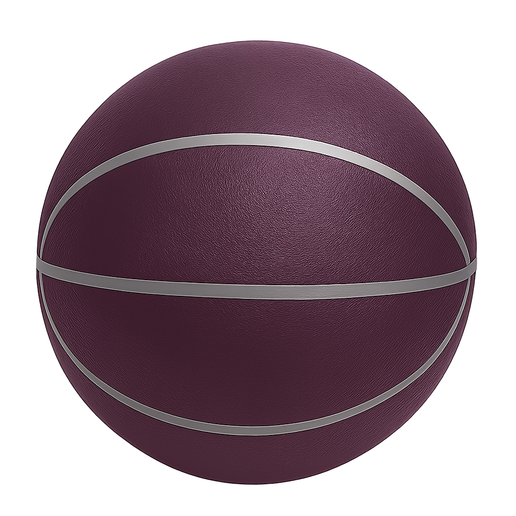 Quiet Bounce Basketball Indoor Training Ball